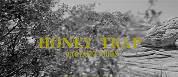 HONEY TRAP